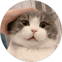 劉亞綸 profile picture